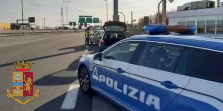 CAGNOLINO ATTRAVERSA LA A28: LA POLSTRADA LO METTE IN SALVO